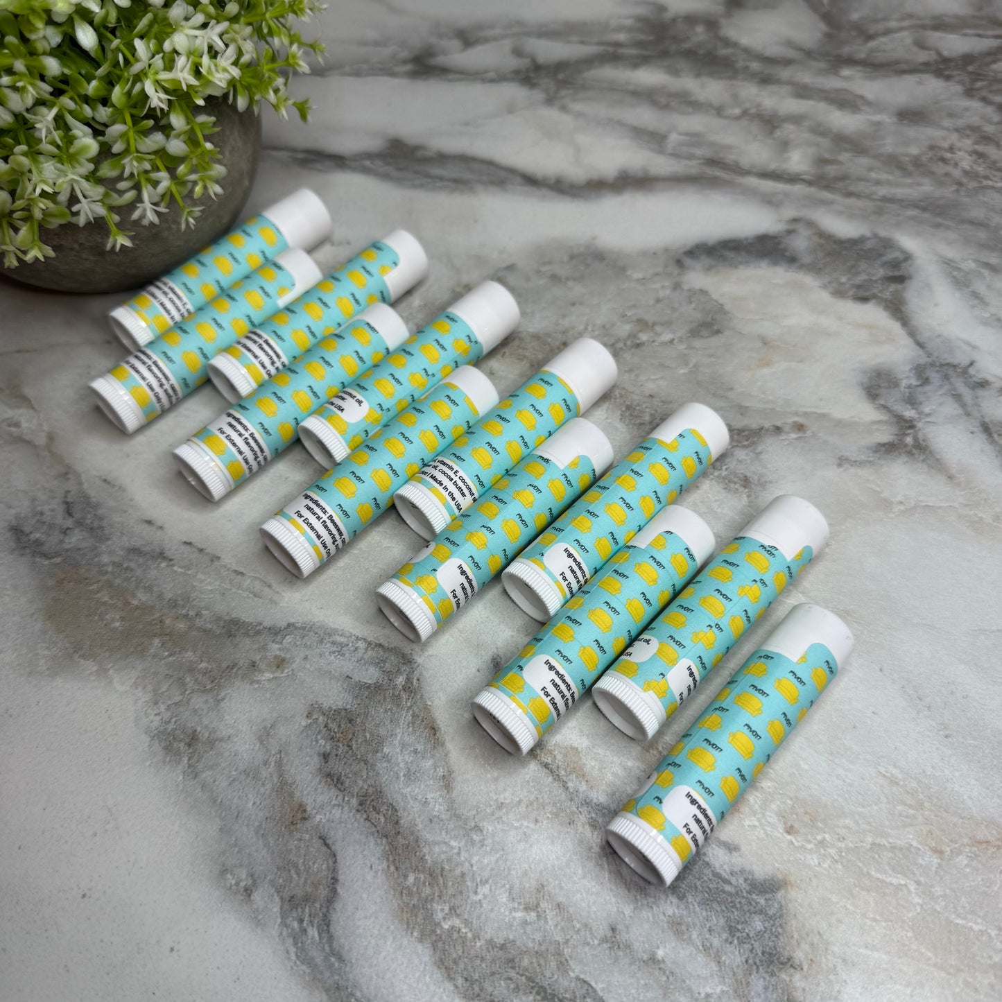 Lip Balm - Friends Pivot!