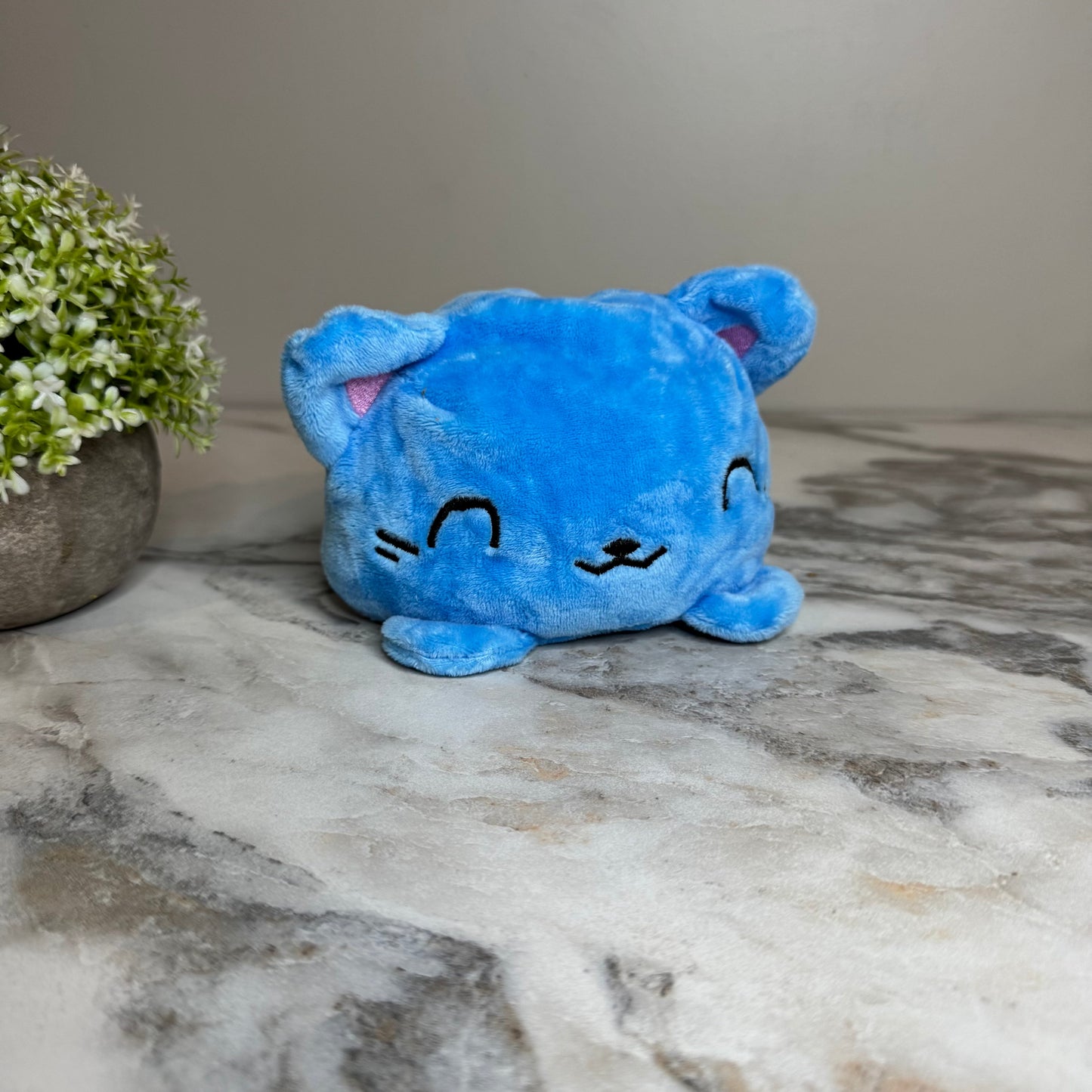 Moody Animals - Pumpkins, Ghost, Dog, & Cat