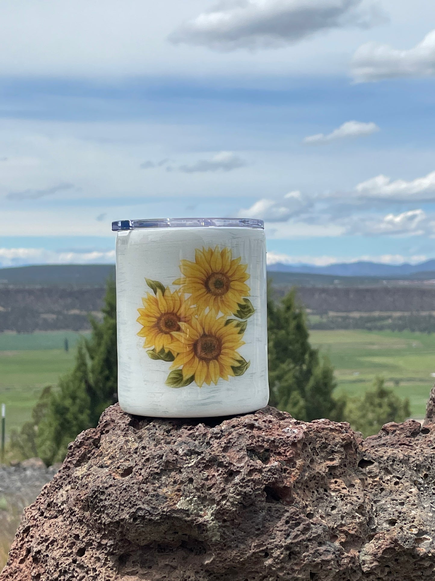 Birch Sunflower